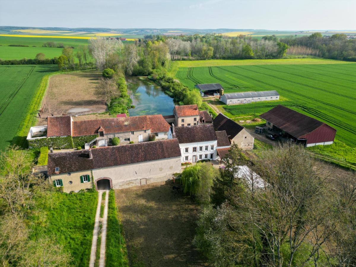 Le Moulin Neuf Villa Brienon-sur-Armançon Eksteriør bilde