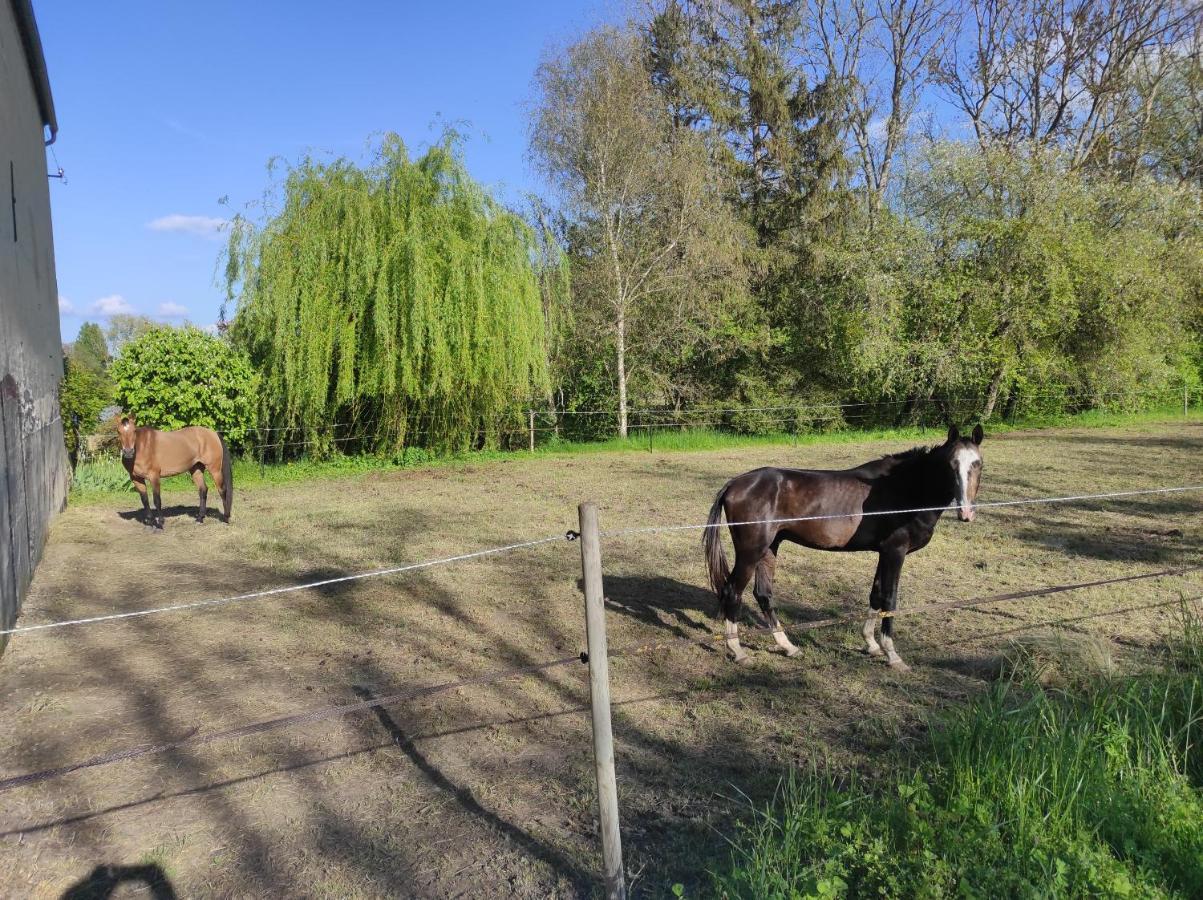 Le Moulin Neuf Villa Brienon-sur-Armançon Eksteriør bilde