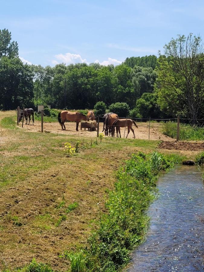 Le Moulin Neuf Villa Brienon-sur-Armançon Eksteriør bilde