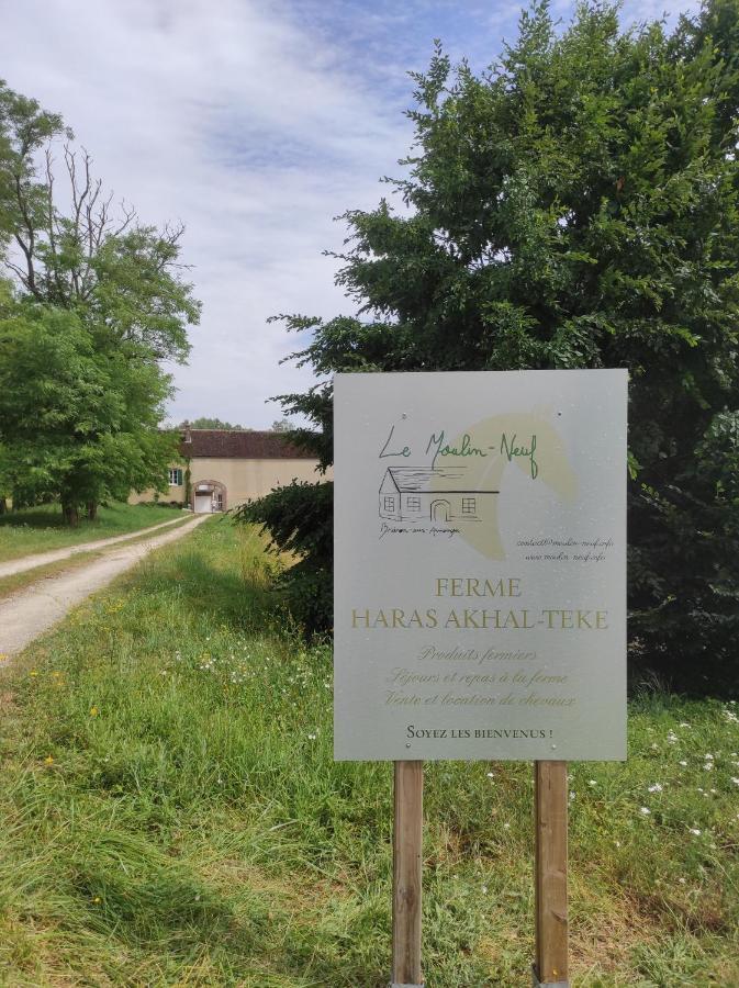 Le Moulin Neuf Villa Brienon-sur-Armançon Eksteriør bilde